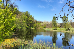 Дневник войны, глава 251. «Из таких мелочей и складывается ощущение относительной нормальности, островка комфорта»